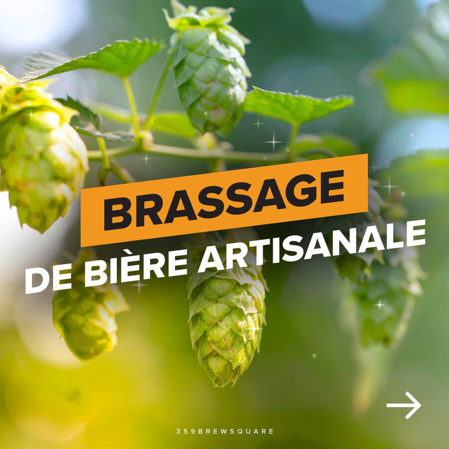 BRASSAGE